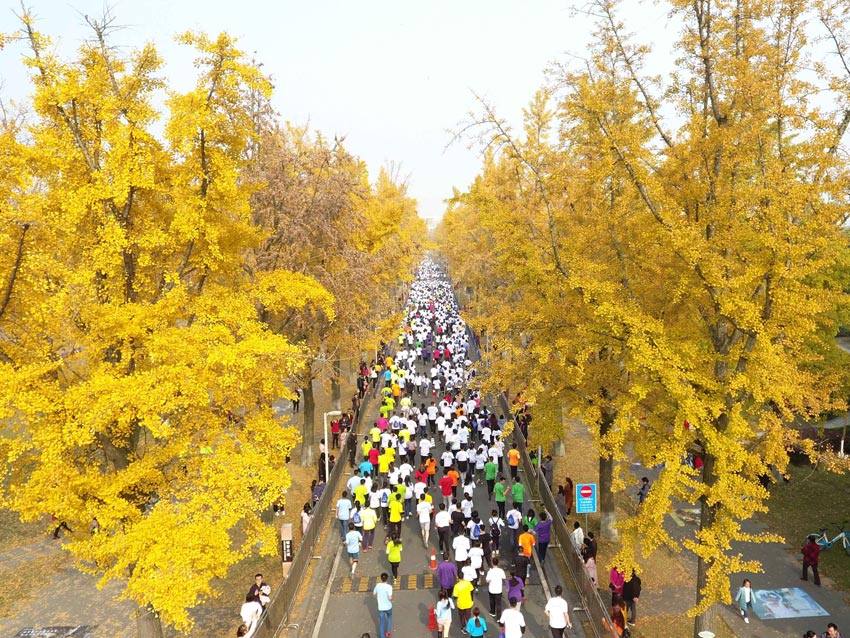 长春理工大学成人高等教育